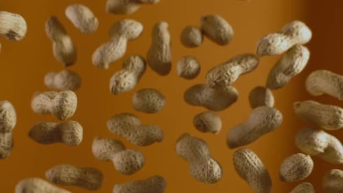 Fallende Erdnüsse in Zeitlupe auf orangefarbenem Hintergrund, Zeitlupenfutter, 240 Fps voll 10 Bit