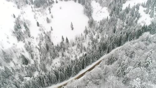 Conduite automobile le long de la route forestière en hiver