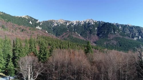 Over The Mountain Trees