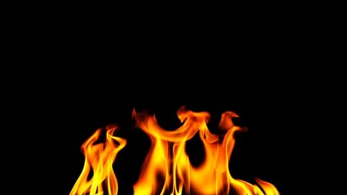 Feuer brennt auf schwarzem Hintergrund