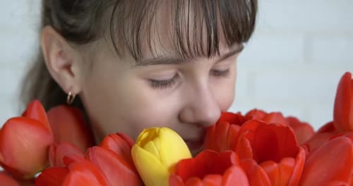 Child Smelling Colorful Bouquet of Tulips