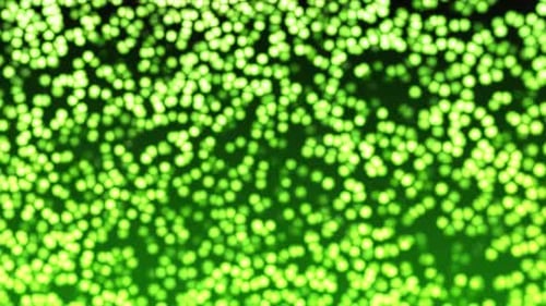 Fondo animado de Motion Graphics en movimiento verde de fondo