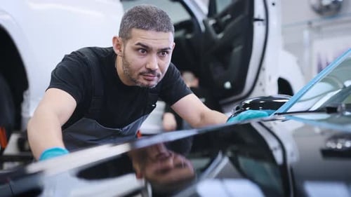 Professional Applies Protective Film to Car Hood