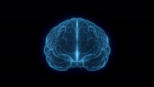 Futuristic Digital Brain Rotation with Plexus Effect