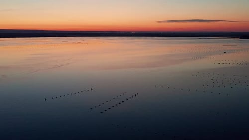 Fazenda mediterrânea de mexilhões no Mar Piccolo de Taranto