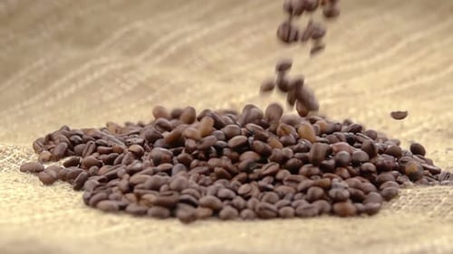 Coffee Beans Pouring on Burlap