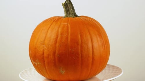 Halloween-Kürbis mit auf weißem Hintergrund dreht sich um 360. Nahaufnahme eines Orangenkürbises.