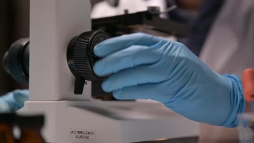 Gloved Hand Adjusting Microscope in Lab