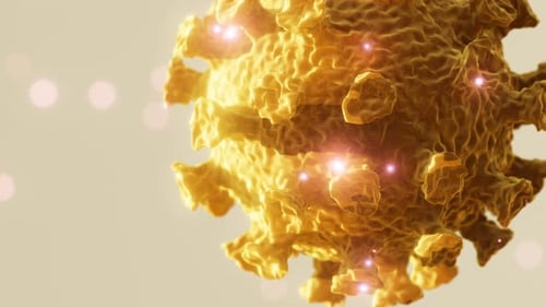 Microscopic View of a Infectious Virus SARSCoV2 Virus Cell