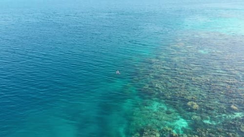Aerial slow motion: woman snorkeling on coral reef tropical sea from above