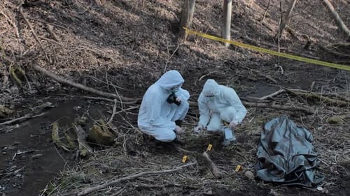 Forensic specialists working in the forest. Crime scene and police concept.
