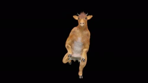 Funny Dancing Goat Character Animation