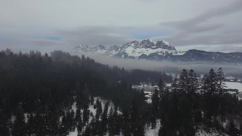 Aerial view of forest and mountains