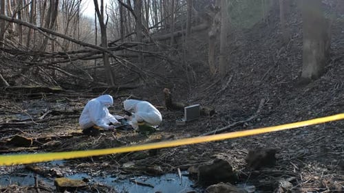 Forensic specialists working in the forest. Crime scene and police concept.