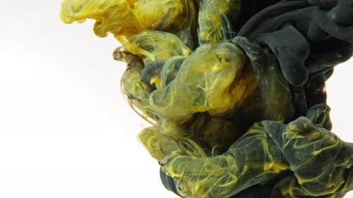 Abstract Yellow and Black Ink Plumes Mixing