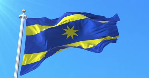 Realistic Waving Flag with Blue and Yellow Stripes
