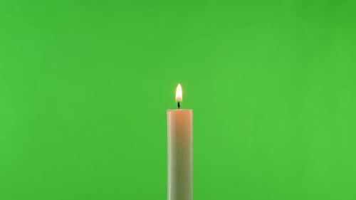 Burning Wax Candle on Green Chroma Key Background
