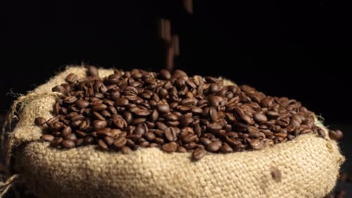 Roasted Coffee Beans Poured into Burlap Sack