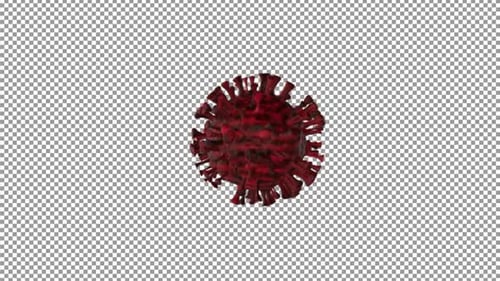 Corona Virus With Alpha