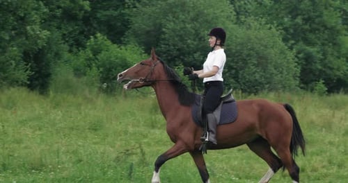 Mulher cavaleira a cavalo em uma clareira perto da floresta, andando a cavalo ao longo de um caminho na floresta
