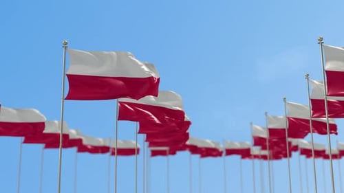 Poland Row Of Flags Animation