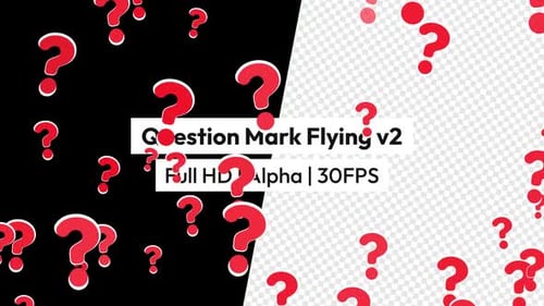 Fragezeichen Fliegen mit Alpha v2