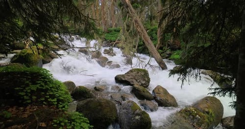 Mountain River im Wald