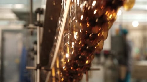 Empty PET Bottles Move Along a Conveyor Line