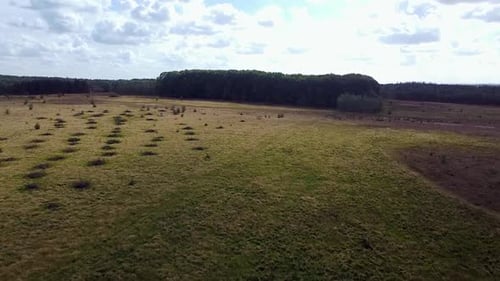 Naturdrohne wurde von oben geschossen.