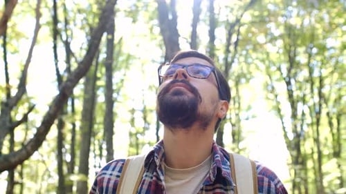 Allein im Wald im Freien vor einem Waldhintergrund stehen