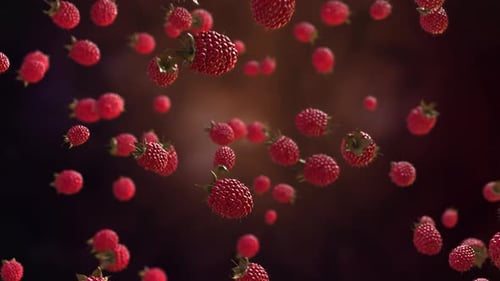 Fresh Red Raspberries Floating Upwards Animation
