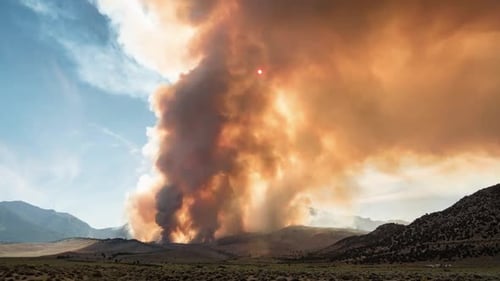 Forest Fire Burning Mountainside