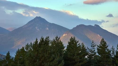 Clouds spill over the top of the mountain, in the foreground pine trees bent in the wind