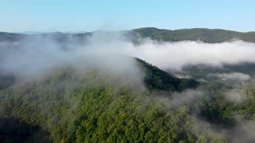 Foggy Mountains And Forest In The Morning
