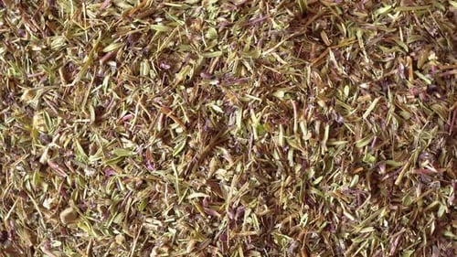 Rotation d'herbes médicinales thym