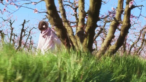 Female Tourist Enjoys Pinky Lavish Blooming As She Walks By the Rows of Trees