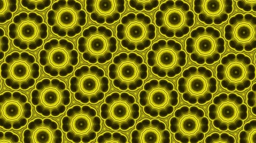 New Abstract Background Green Color Hexagon Flower Pattern Animation