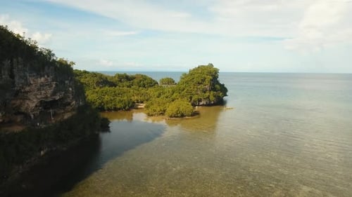 Coast of Tropical Island