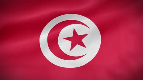 Realistic Waving Flag of Tunisia