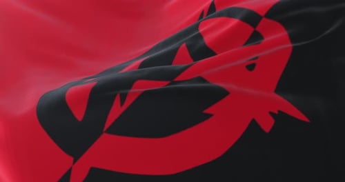 Abstract Red and Black Flag Waving Seamless Loop