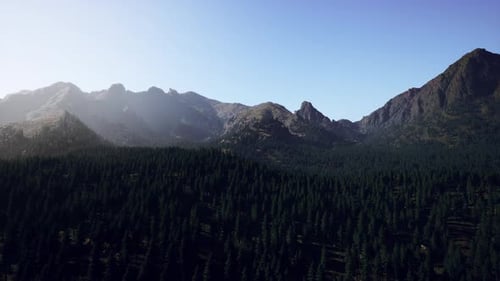 Vista aérea sobre la cordillera con el bosque de pinos en Baviera