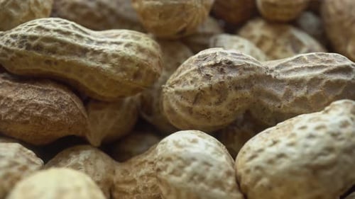 Rotation Inshell Peanuts