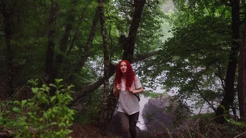 Walking Through The Forest