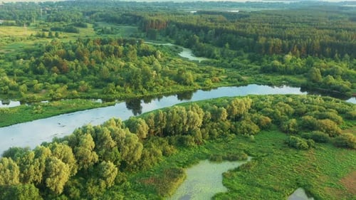 Aerial View Of Summer River Coasts Landscape