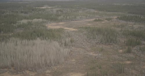 Der Lufthubschrauber steigt über den dünn bewaldeten Canyon, vorbei an kleinen Gebäuden, biegt ab und enthüllt Mounta