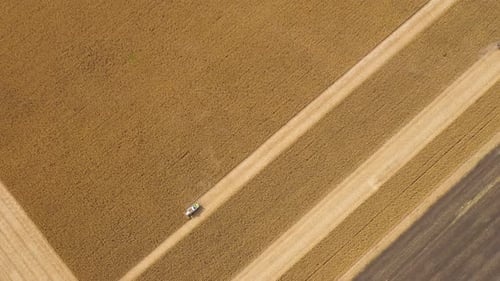 Combine Machines Harvesting Corn In The Field 6