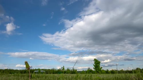 Timelapse, Clouds in blue sky, good weather, Green trees, grass in a city Park