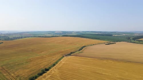 Luftaufnahme des gelben landwirtschaftlichen Feldes mit trockenem Stroh von abgeschnittenem Weizen