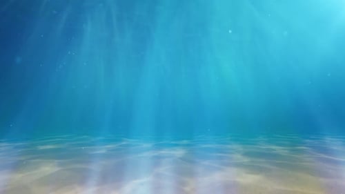 Underwater Sandy Ocean Floor Sun Light Rays Loop Background