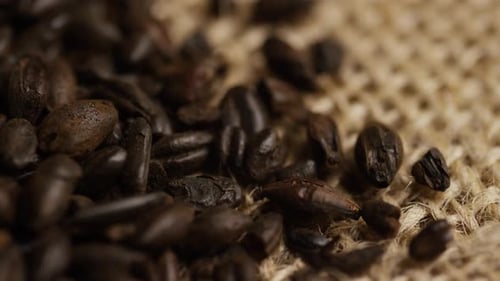 Tiro rotativo de cevada e outros ingredientes de fabricação de cerveja